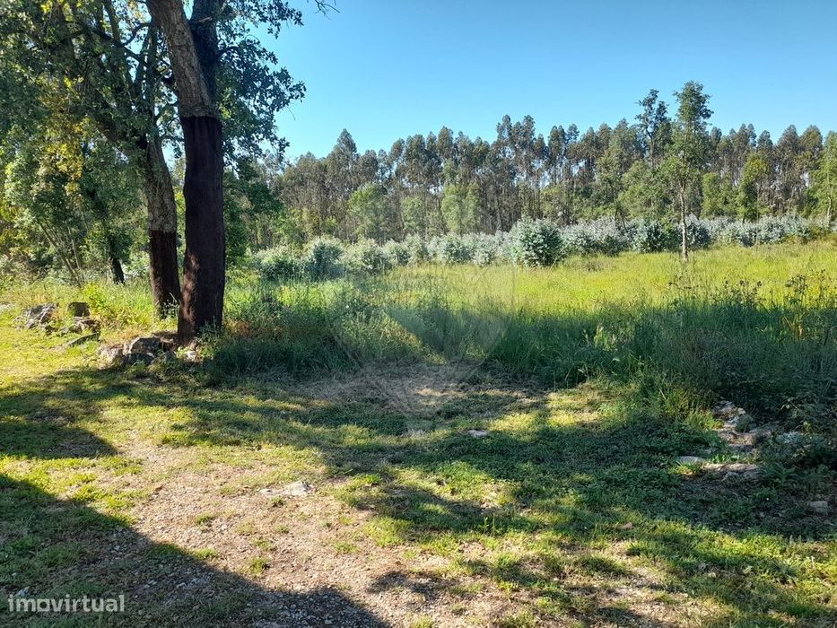 Terreno  para venda — Évora de Alcobaça, Leiria