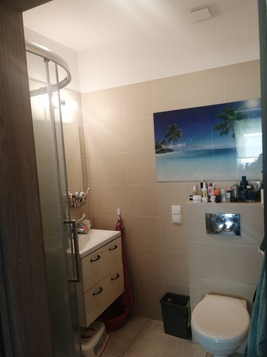 Dom wolnostojący 117 m² + domek gosposdarczy 35 m² - Widok 2
