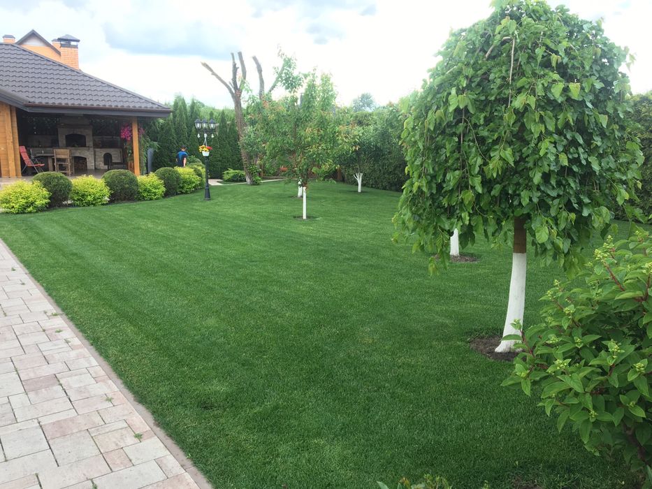 Покос газону та трави, спилювання дерев, послуги садівника!