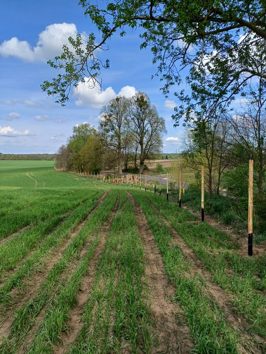 Ogrodzenia tymczasowe Leśne Budowlane