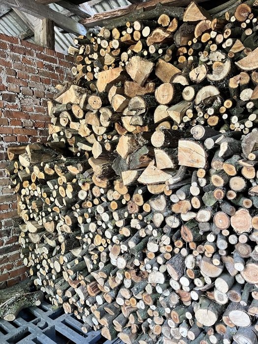 Suche drewno opalowe z drzew lisciastych