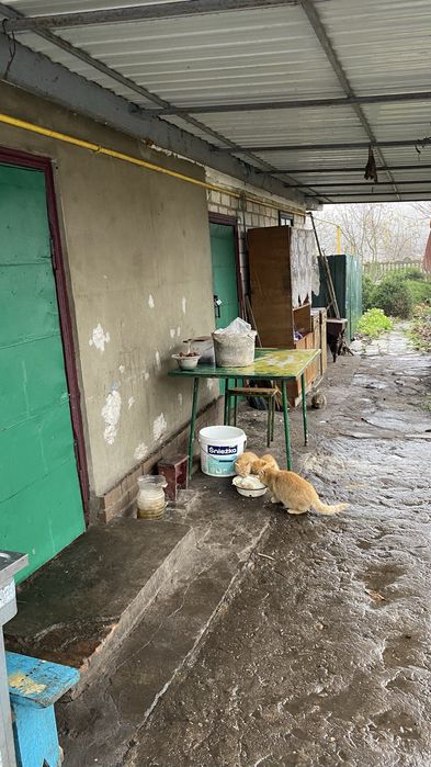 Продаж будинку в с.Щербаки