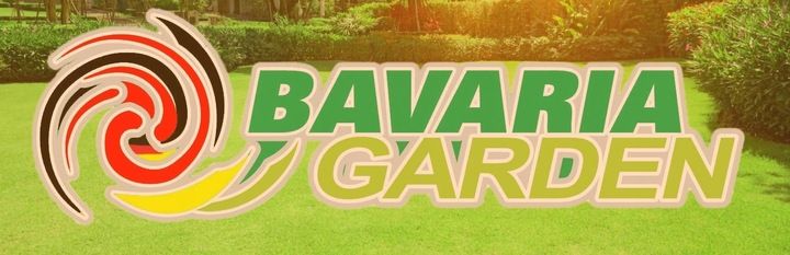 Piła Spalinowa Gałęziówka Do Gałęzi Pilarka Łańcuchowa + Zestaw Xxl Ol