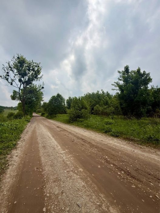 1 гектар землі біля Львова як інвестиційний актив.