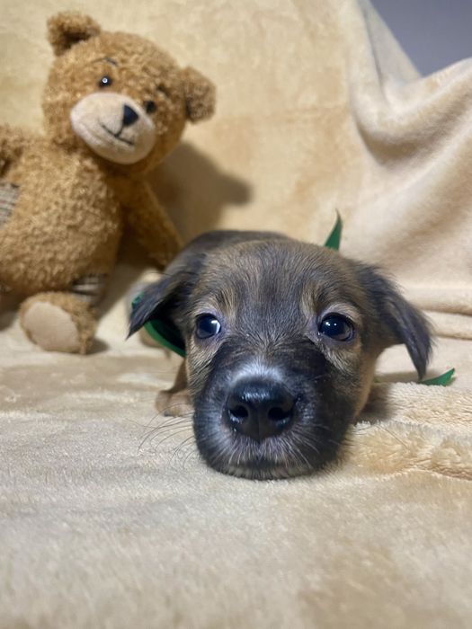 Чудо хлопчик чекає на тебе