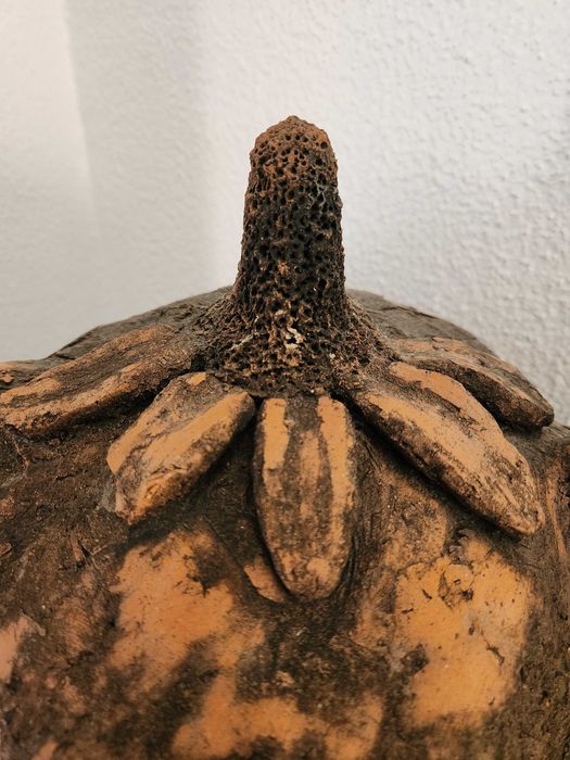 ESTATUA de Ganesh de terracotta, antiga de Índia