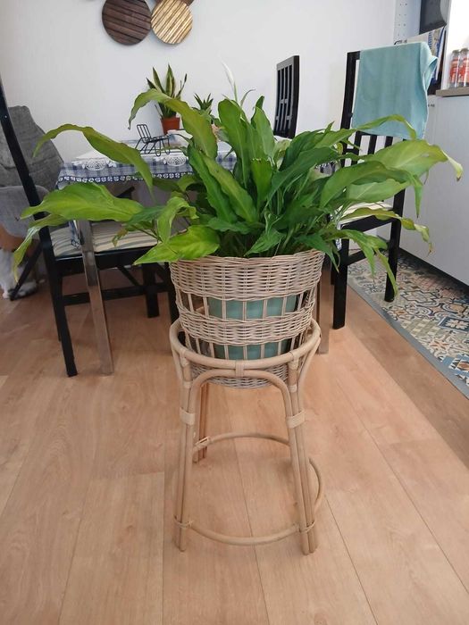 IKEA Plant Stand | Suporte IKEA para plantas