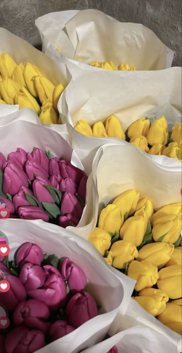 Тюльпани до 8 Березня від виробника — зріз, передзамовлення.