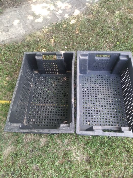 Ящики для хранения овощей и фруктов