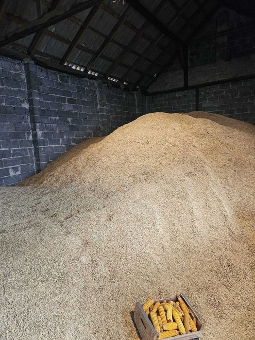 Owies workowany Nie PELLET , Ekogroszek Możliwość transportu