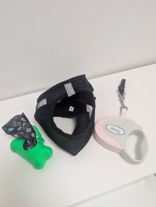 Tanio Flexi dla małego psa zestaw wyprawka harness szelki smycz wore