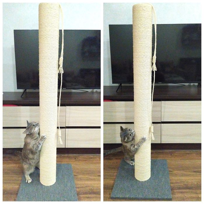Для великих котів,кігтеточка, когтеточка