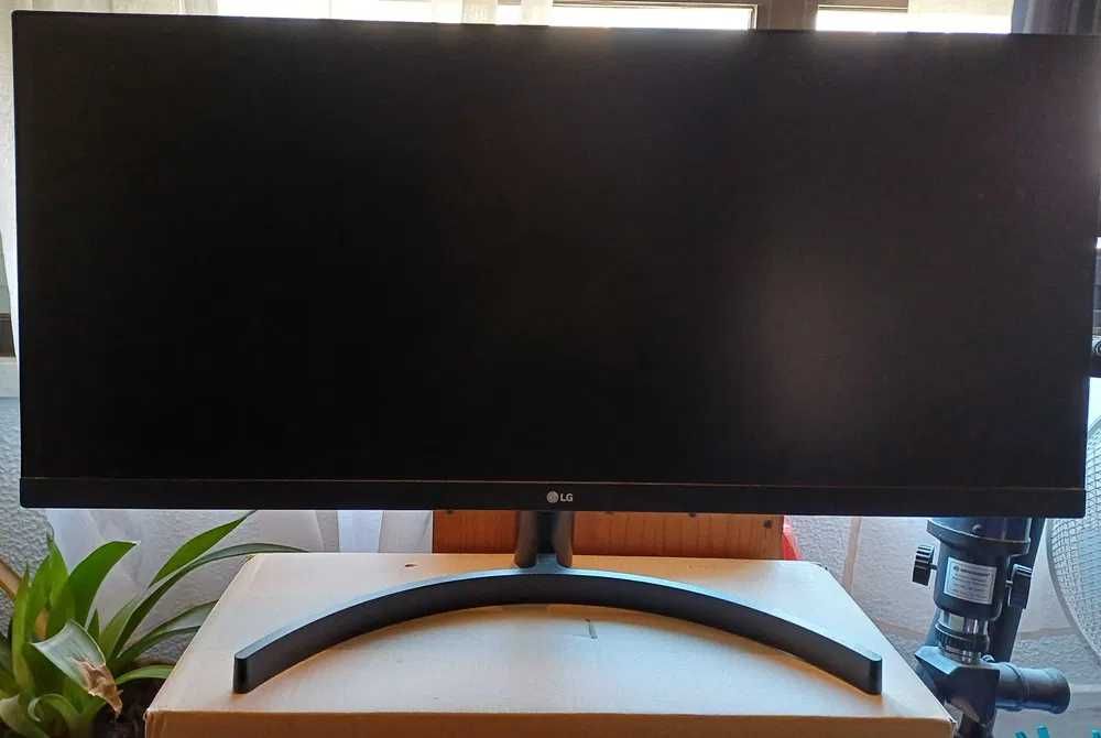 Monitor LG 29WL500-B