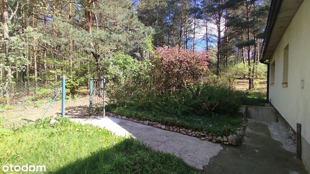 Działka rekreacyjna z domem i ogrodem w POPOWIE