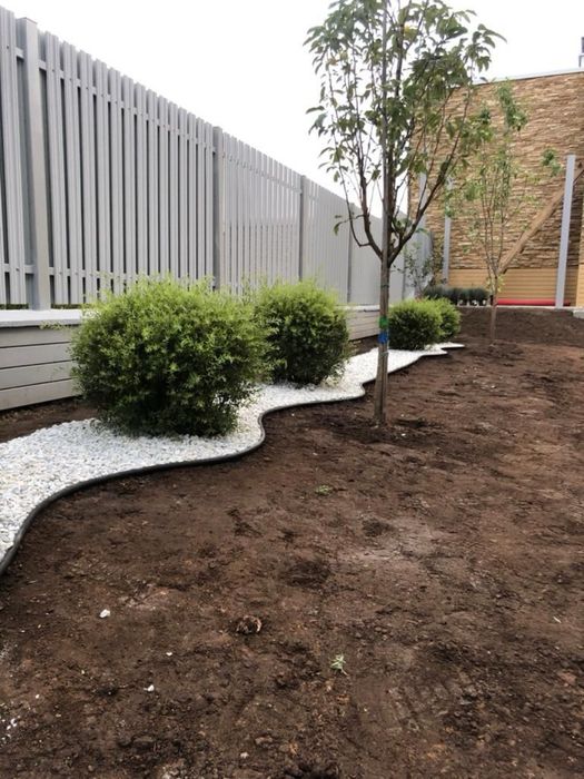 Рулонний газон Озеленення ландшафт укладка