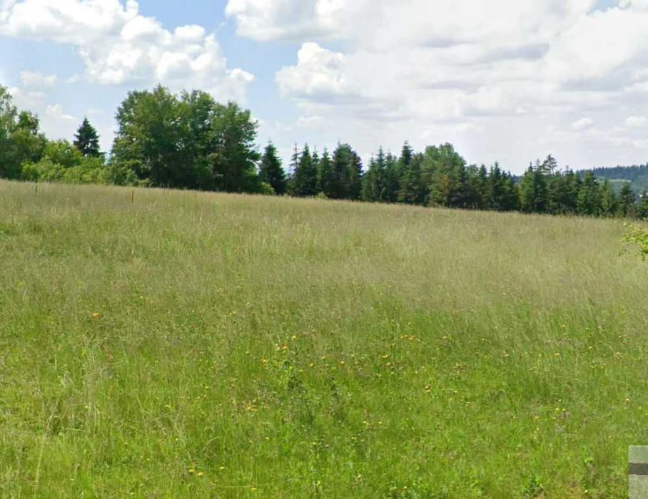 Działka na wynajem pod park rozrywki, paintball, farmę dyniową / rekreację ok. 1,1 ha, - Widok 2