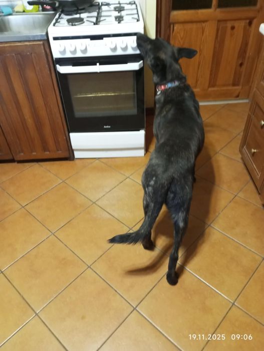 Kto pokocha cudownego Czarusia