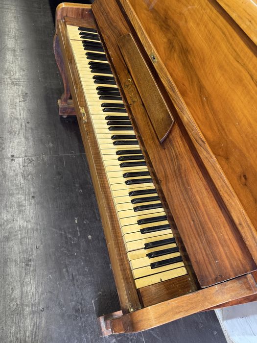 Pianino Calisia