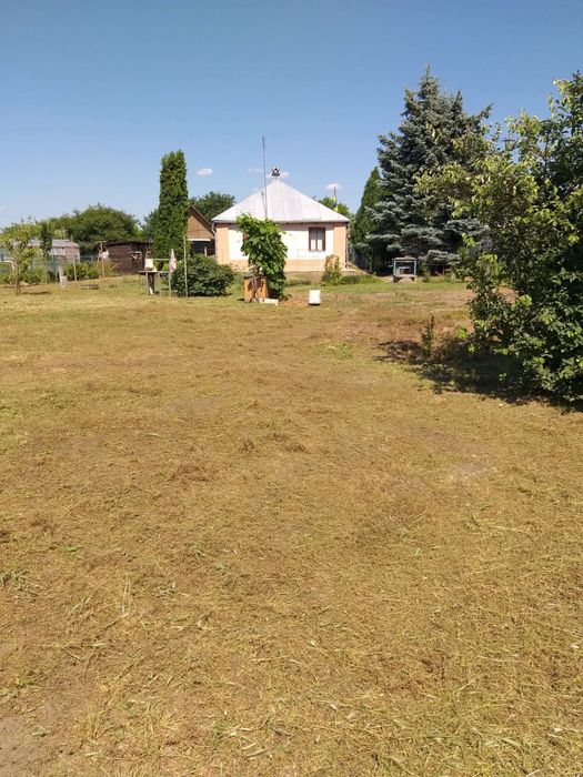 Будинок в селі Соснове