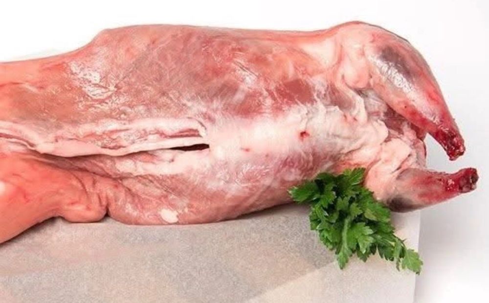 М’ясо нутрії продам