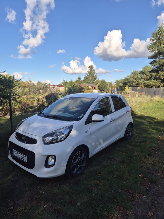 Kia picanto 2015