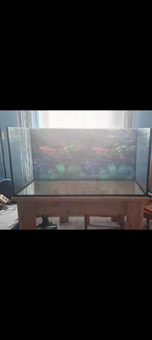 Akwarium 112l polecam