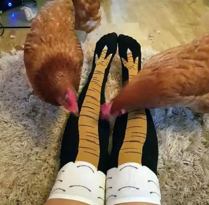 Длинные высокие гольфы носки куриные лапы лапки чулки носочки ножки