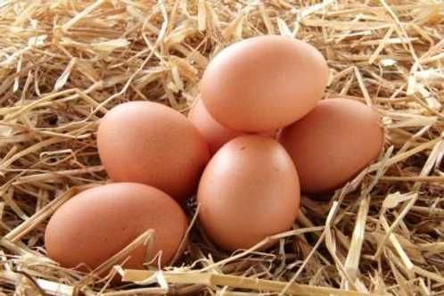 Ovos de galinhas caseiros