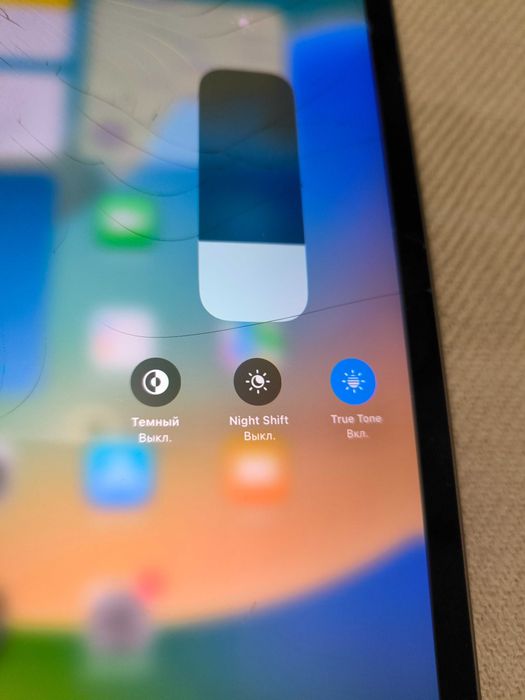 Планшет Apple iPad mini 5 7.9" на 256 гб