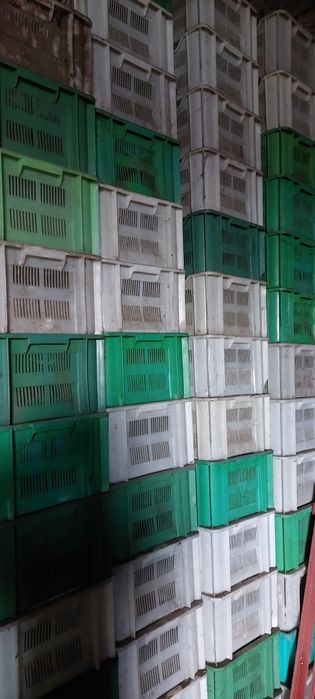 Skrzynki platony plastikowe 20 kg bardzo mocne