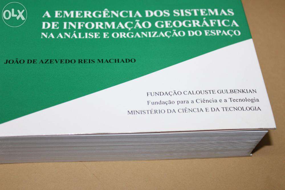 A Emergência dos Sistemas de Informação