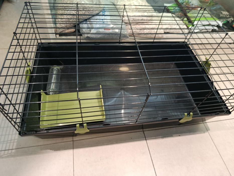 NOVA Gaiola de 80cm + porquinho bebé