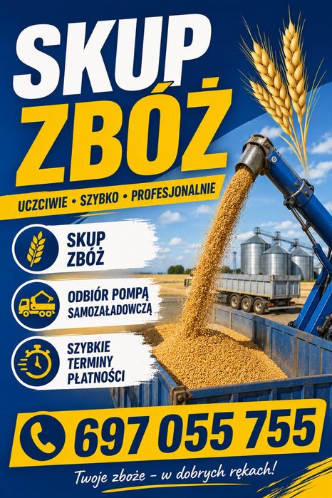 Skup zbóż- żyto pszenżyto owies pszenica- odbiór pompą samozaładowczą