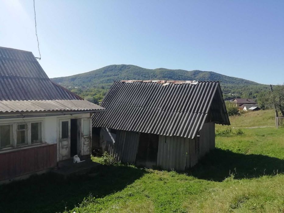Продаж будинку з ділянкою 22 сотки в мальовничому Косові