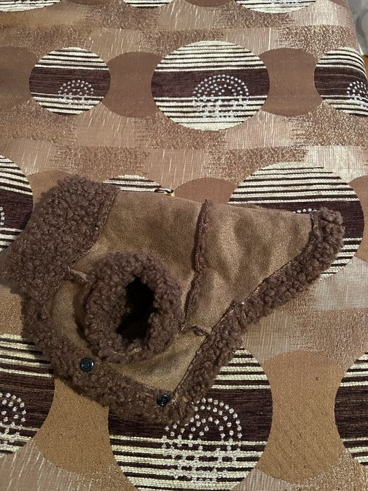 Одяг для собак