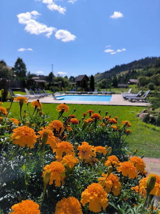 Відпочинок в Карпатах .Плай.Здається будинок в с.Плав'я