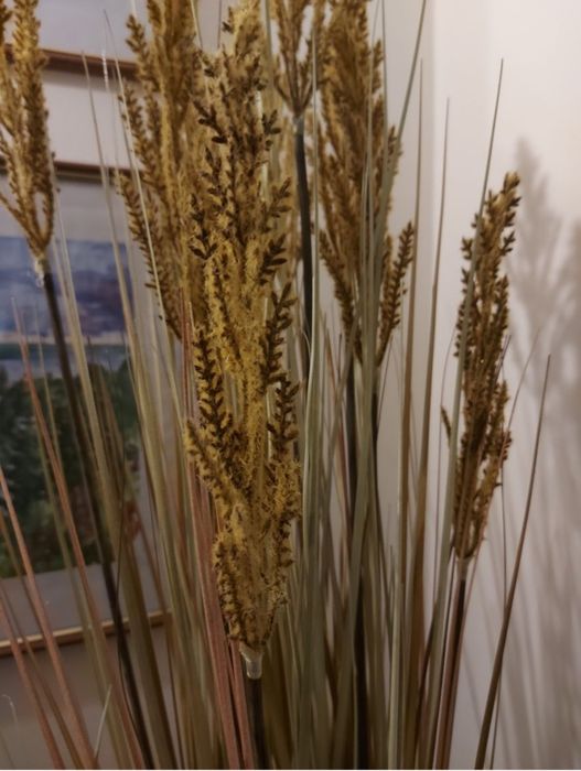 Трава пампасна очерет 100 см