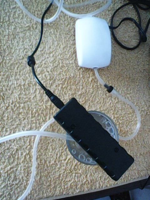 Gerador de Prata Coloidal