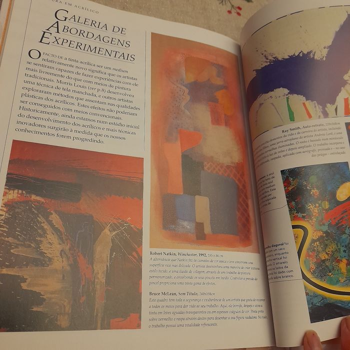 Livro de introdução à pintura e acrílico