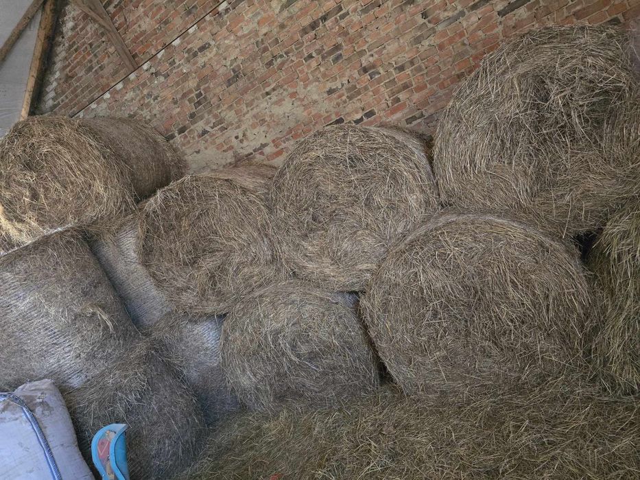 Sprzedam siano..