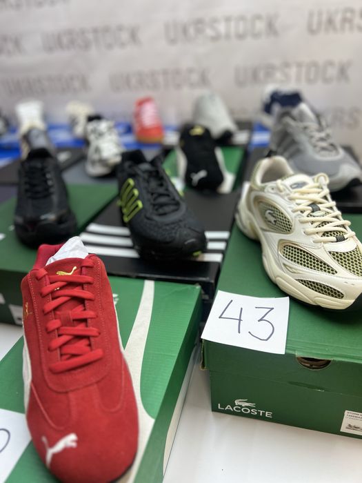 Кросівки adidas, asics, vans, new balance, convers, lacoste