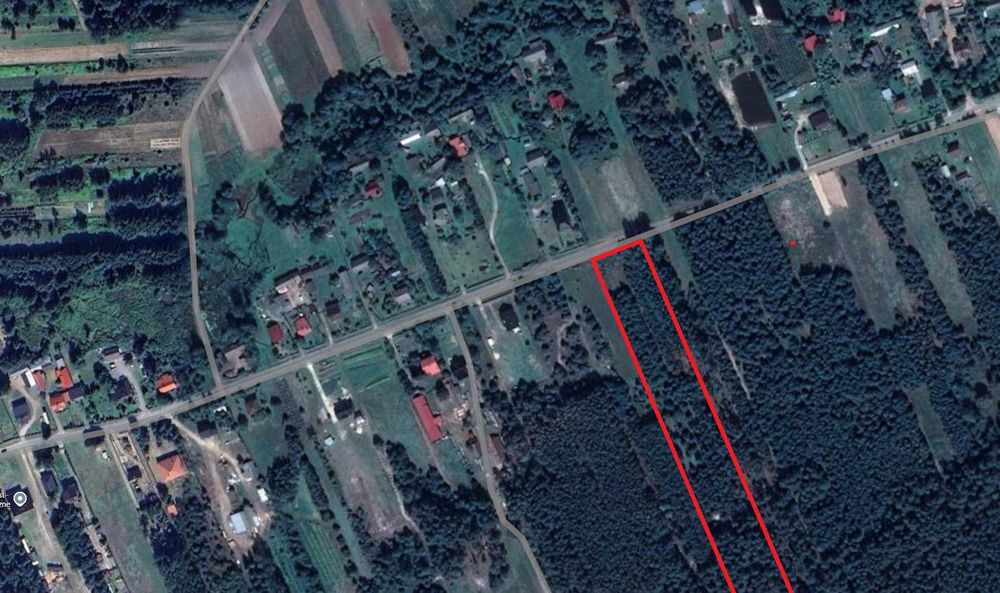 Działka budowlana 1,2 ha – Karolówka, cisza, las, 10 min do Biłgoraja - Widok 4