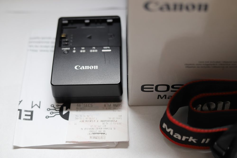 Canon 6Dmkii zadbany