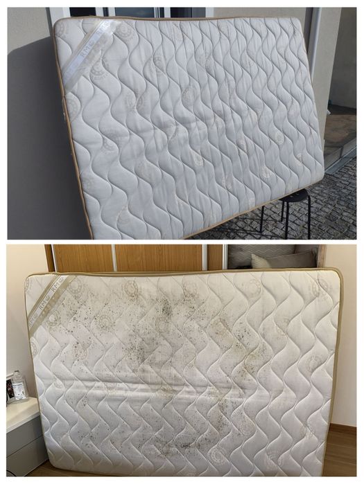 Limpeza e impermeabilização de sofás colchões carpetes e outros