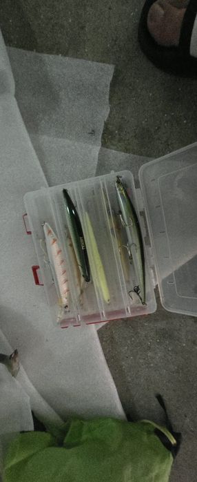 Material pesca impecável