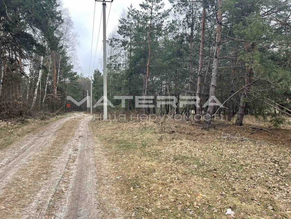 Продаж 2,75 Га в лісі з власним озером біля заміського комплексу Dogoda