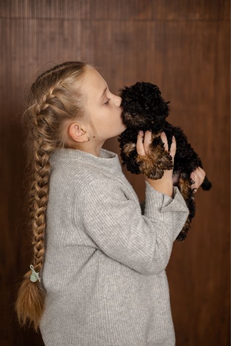 Той пудель фантом