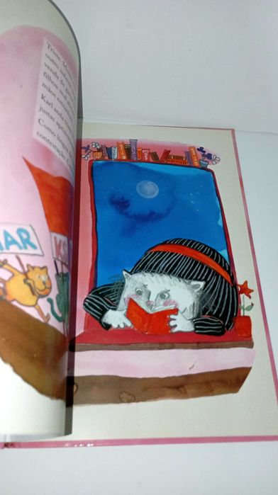 O Gato Karl  - Caminho