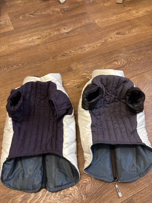 Одежда для собак