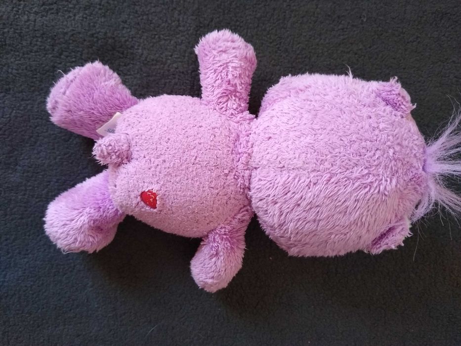 Troskliwy Miś Care Bear vintage Share Bear 2004